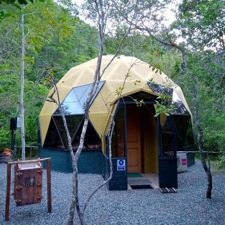 Riñinahue Cuyinco Domosヴィラ エクステリア 写真