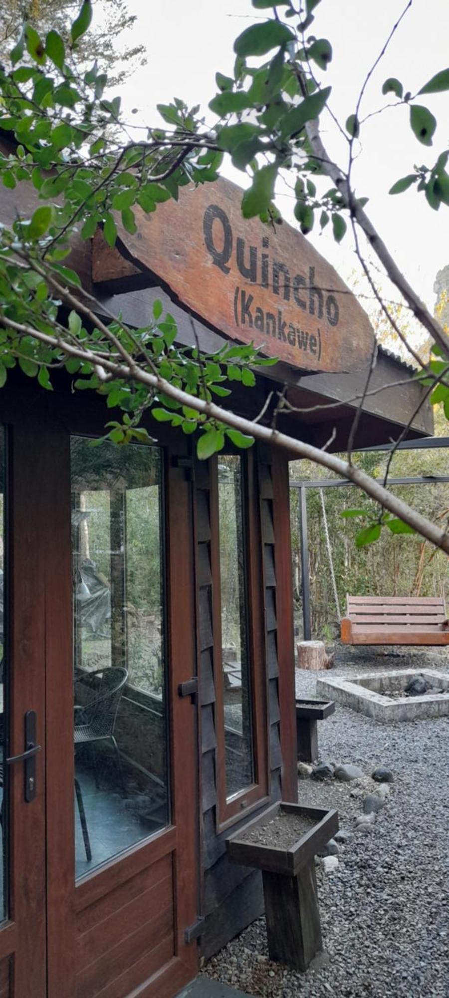 Riñinahue Cuyinco Domosヴィラ 部屋 写真